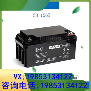 直流屏 应急储能 1265 蓄电池12V65AH UPS电源 机房后备