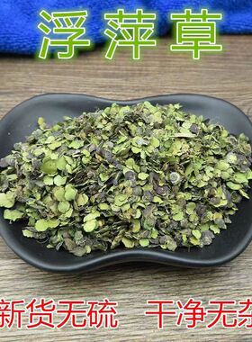 浮萍中药材浮萍药用紫背浮萍草药野生精选田萍干浮萍洗发加侧柏叶