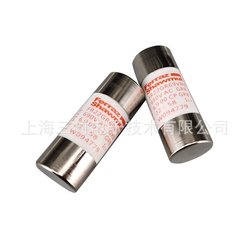 全新熔断器保险丝FR22GR69V100/F1018560 FR22GR69V125/G1018561