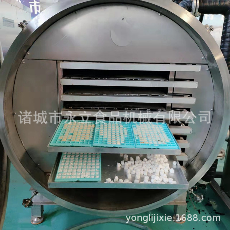 草莓蓝莓无花过真空冻干机全自动不锈钢水果蔬菜肉类冻干设备大型