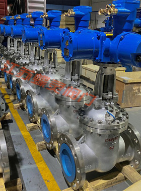 耐腐矿用不锈钢隔爆型闸阀 一体式电动闸阀ZJK941W-10P DN80