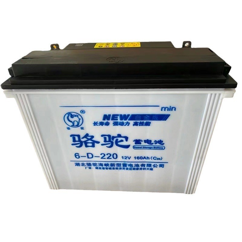 12伏160安牵引蓄电池 6-D-220三轮车 四轮J车电池 60V160A铅酸电