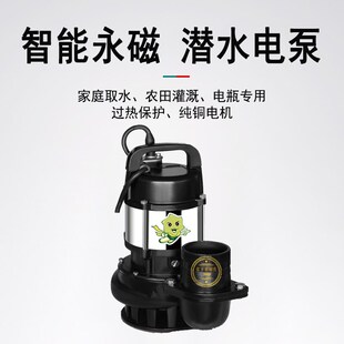 1000 飞e克ZDQ 2.5抽水泵12V直流农用灌溉48V小型抽水 奥冠迪