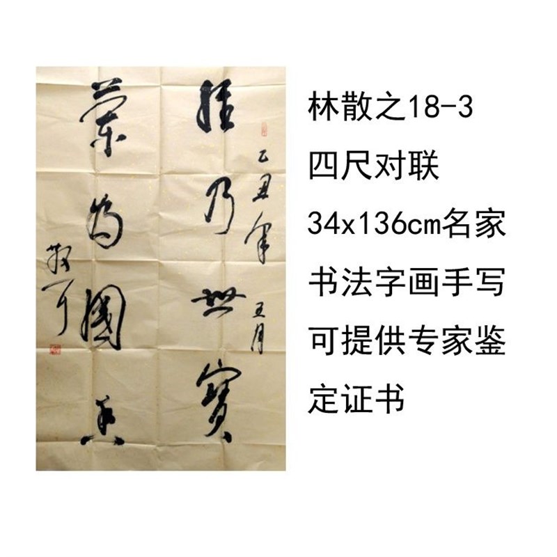 临摹手写林散之书法四尺对联34x136cIm名家题字字画收藏可提供鉴