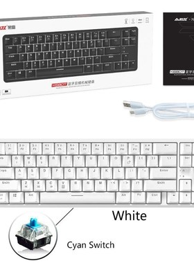 Wired Bluetooth 68 pKeys with Anti ghosting Design Mechanica