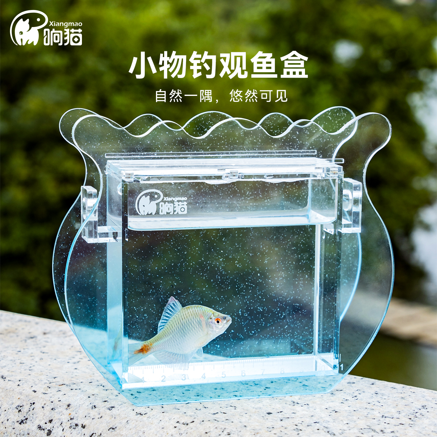 响猫小物钓亚克力透明观鱼盒