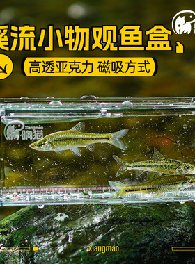 观鱼盒小物钓透明带刻度亚克力野采鳑鲏白条马口小溪流野营观察盒