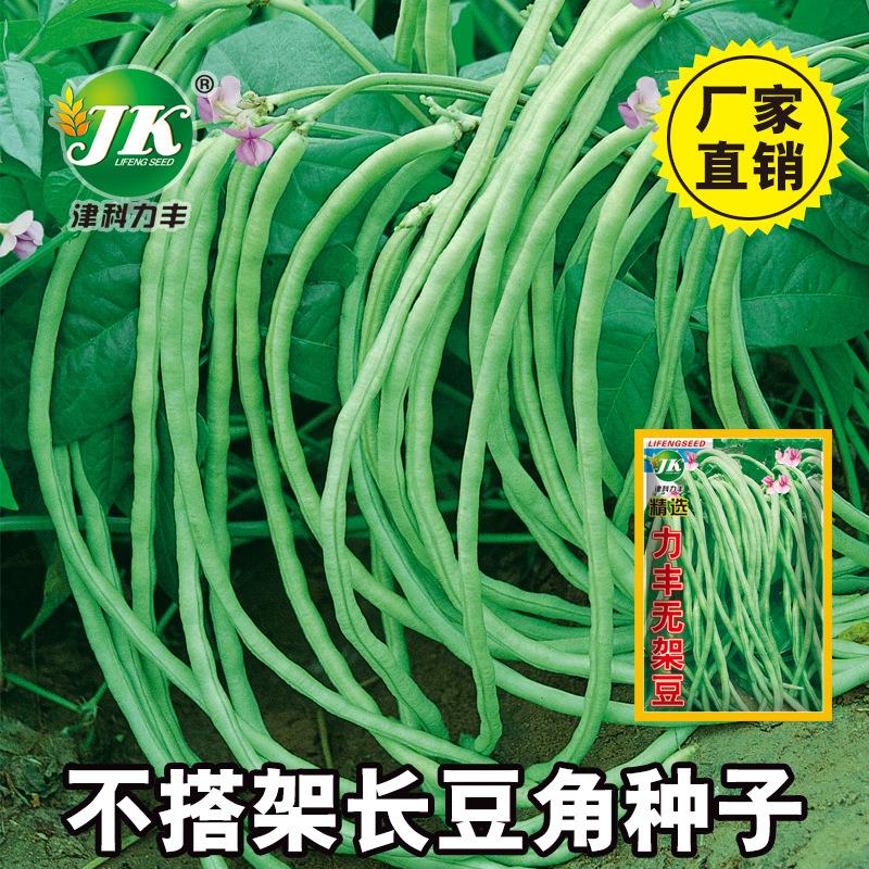 无架豆种子不搭架长豇豆种籽地豆蔬菜种孑阳台春秋季四季播种豆角