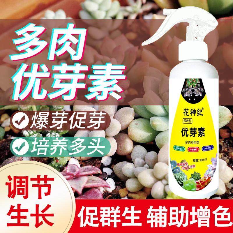 优芽素多肉专用爆芽素促生长营养液促侧芽花卉绿植通用发芽矮胖素