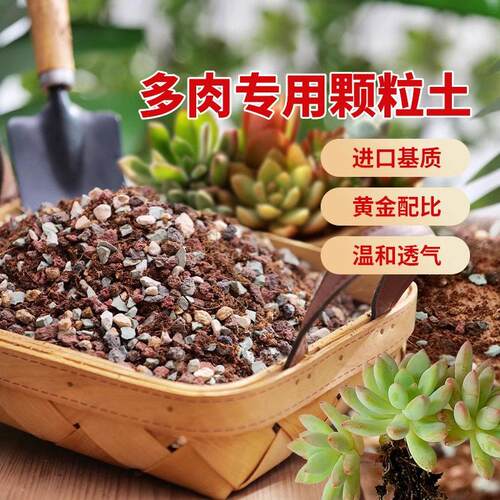 多肉专用颗粒土营养土多肉植物花土壤基质铺面扦插基质泥炭种植土