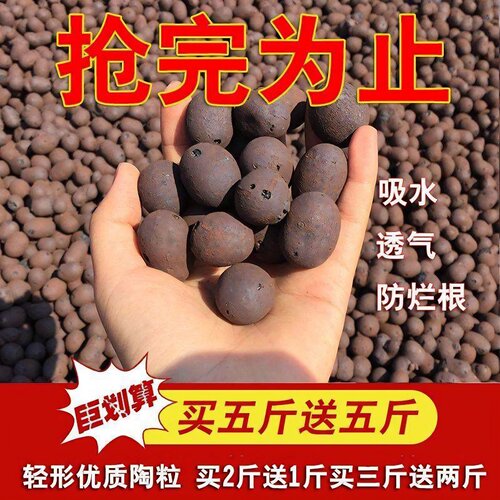 陶粒球花盆垫底园艺通用型空心陶粒水培垫盆底养花多肉发财树