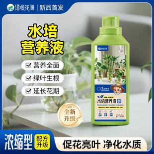 艾尚棵水培营养液富贵竹绿萝专用肥室内园艺盆栽生根粉水培植物用