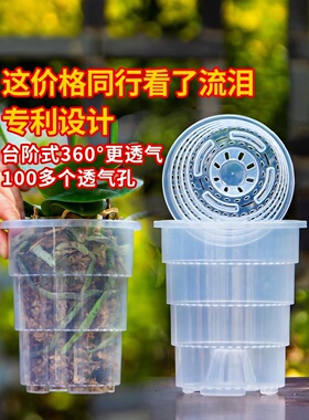 爱美透明青山控根盆兰花水苔蝴蝶兰专用花盆塑料透气镂空花盆家用