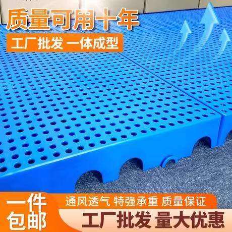 浴室加高垫地下室防水门垫脚垫垫增高隔水间排水防摔垫4加厚淋浴,居家布艺,家用脚垫,淘宝优惠券,粉丝福利购,淘宝优惠卷