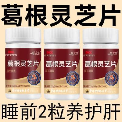 李时珍肝肾内热湿气重生津止渴火养生丸体质非药非特效葛根灵芝片