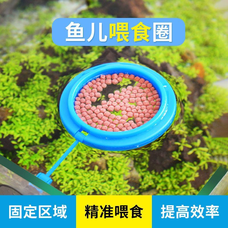 鱼缸喂食器鱼儿喂食圈小型鱼孔雀鱼投食圈 漂浮鱼粮食饲料投喂圈