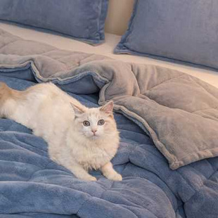 牛奶绒珊瑚绒床单铺床保暖法兰绒盖毯 三层加厚 撸猫感毛毯被子冬季