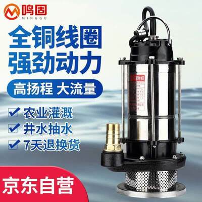 潜水泵220V家用抽水小型高扬程防汛农用不锈钢清水泵550W1寸