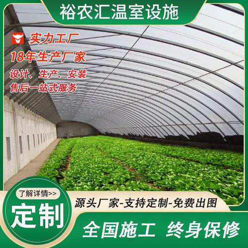 日光温室 暖棚农业大棚 冬暖夏凉单体棚 蔬菜花卉园林种大棚