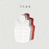 阿汤哥TANG羊绒灯芯绒白鹅绒立领羽绒服秋季 新款 男简约高级感马甲