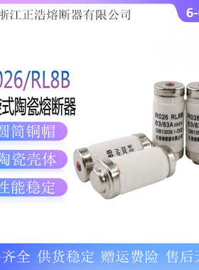 正熔 R026 RL8B-63 6A10A16A25A32A40A50A63A螺旋式熔断器 熔芯