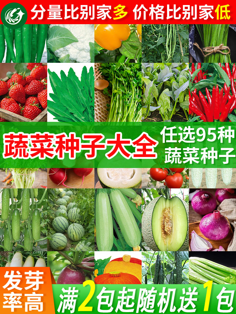 蔬菜种子阳台庭院四季播盆栽辣椒香菜番茄黄瓜洋葱香甜瓜种籽大全