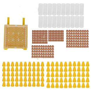 现货供应育王盒套餐育王盒王台基王台保护罩育王工具繁殖蜂王