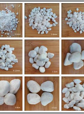 白色石头 白色鹅卵石 白卵石 白石子 白色石子