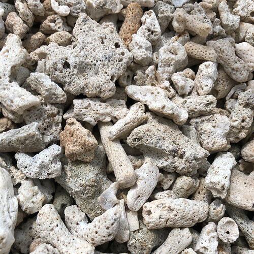 鱼池过滤材料珊瑚骨滤材鱼缸造景底砂珊瑚石水族箱海鲜池净化PH值