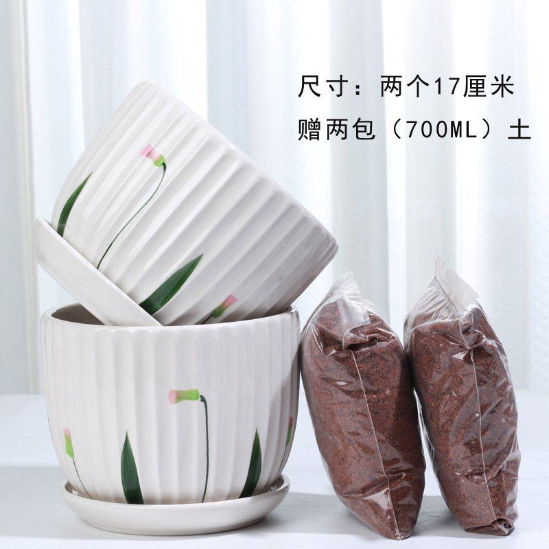 花盆陶瓷创意个性大号两个一组带托盘家用绿萝多肉室内盆,家居饰品,花盆,淘宝优惠券,粉丝福利购,淘宝优惠卷