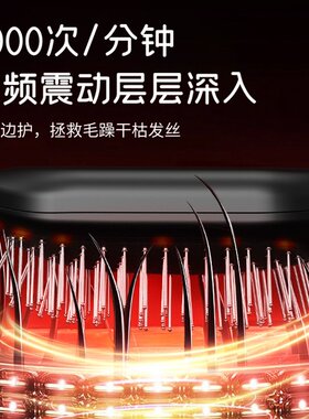 跨境新款电动按摩梳家用气囊精油导液雾化梳红光护发多功能按摩梳