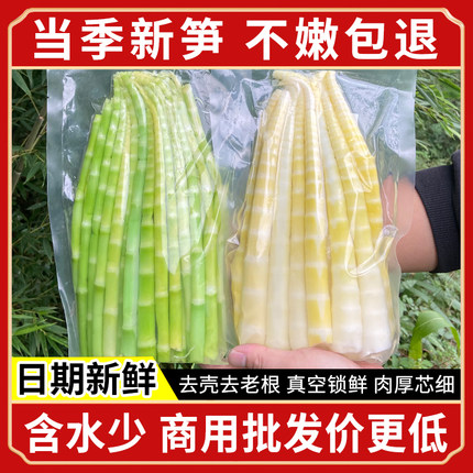 高山方竹笋新鲜嫩笋尖脆笋罗汉笋春笋袋装火锅笋笋子笋干餐饮商用