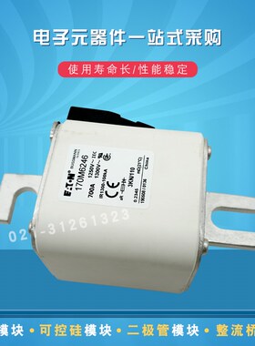 170M6246 6248 6247 6249 6250 6251 6252 6253快速熔断器保险丝