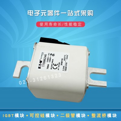 170M6246 6248 6247 6249 6250 6251 6252 6253快速熔断器保险丝