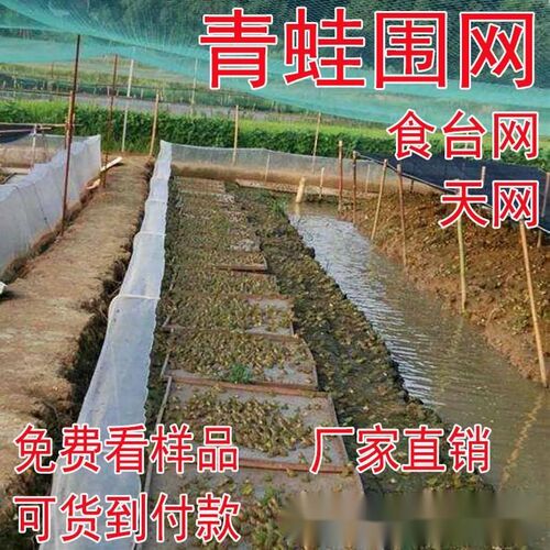 40目加厚青蛙养殖围网防逃网牛蛙80目食台网诱食网尼龙60目防虫网