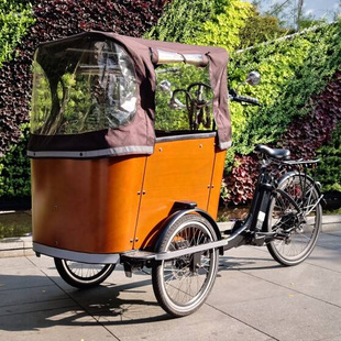 电助力倒三轮自行车泽西岛带娃神车汉森cargo bike货运自行车