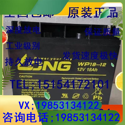 12V18AH消防设施WP18-12机房UPS备用电源/储备应急