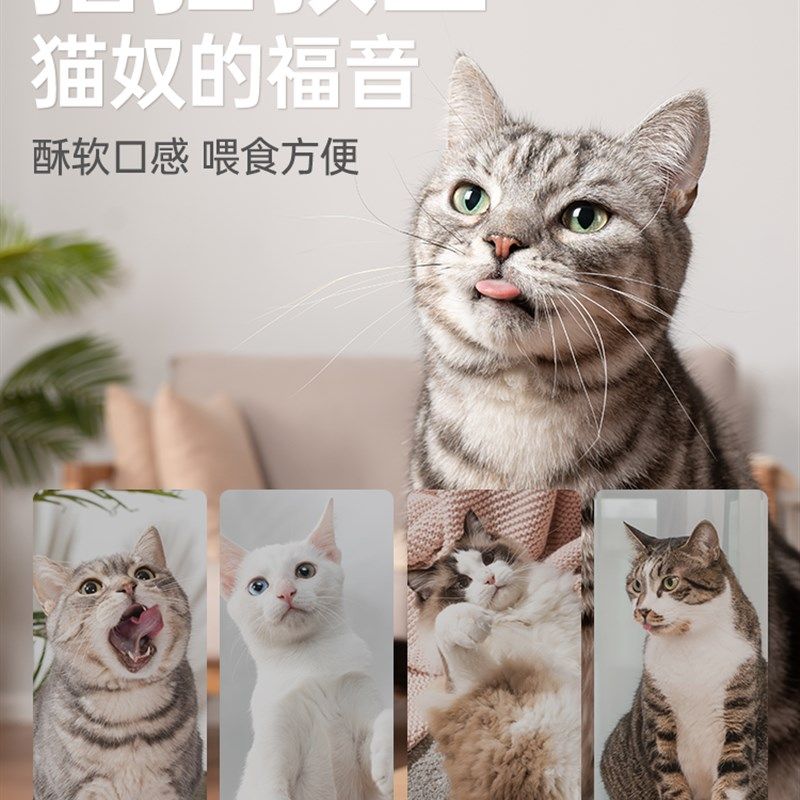 快速发货卵磷脂猫咪维生素防掉G毛美毛爆毛粉鱼油猫用软磷脂,宠物/宠物食品及用品,猫卵磷脂/鱼油/海藻粉,淘宝优惠券,粉丝福利购,淘宝优惠卷