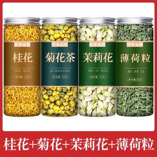 桂花薄荷茉莉组合茶官方旗舰店正品新鲜桂花薄荷叶泡水喝清新口气