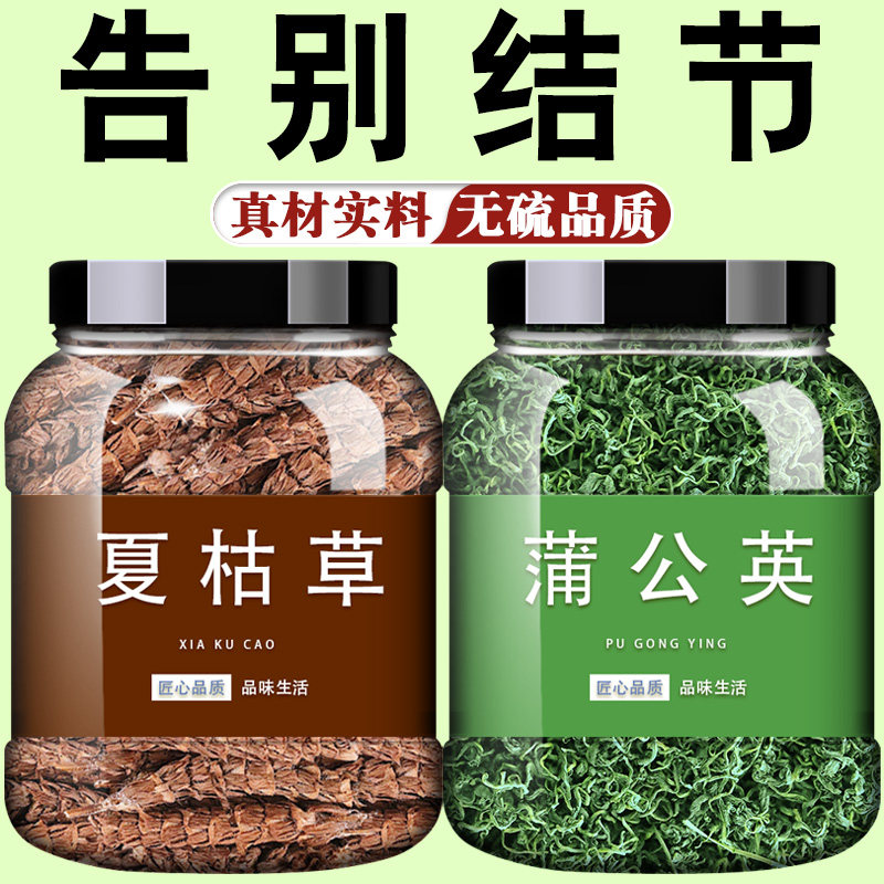 夏枯草蒲公英散结茶功效猫爪草