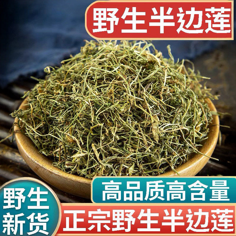 正品野生半边莲中药材500g正宗半边花细米草半边菊瓜仁草半边旗草