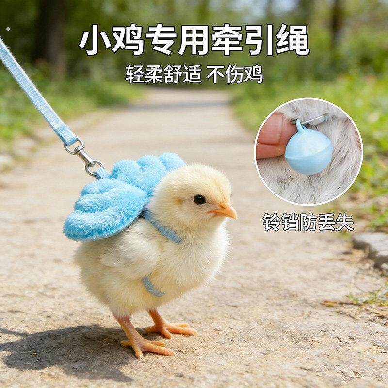 小鸡专用牵引绳超小号防宠物芦丁鸡鹌鹑专用外出牵鸡鸭子的遛鸡绳