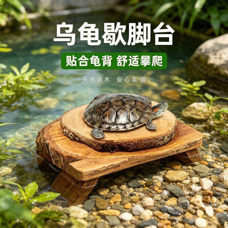 乌龟歇脚台龙眼木晒台爬台晒背台龟缸造景天然躲避养垫脚歇脚休息