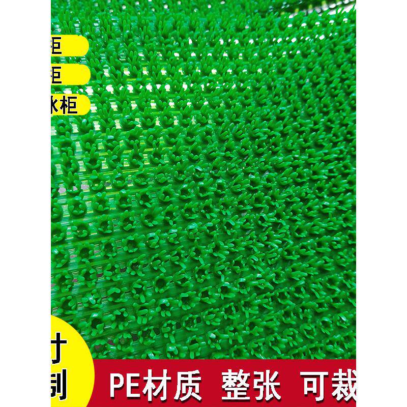冷冻室展示柜模拟绿色草坪装饰垫切断通风防冻海鲜冷盘串订购柜