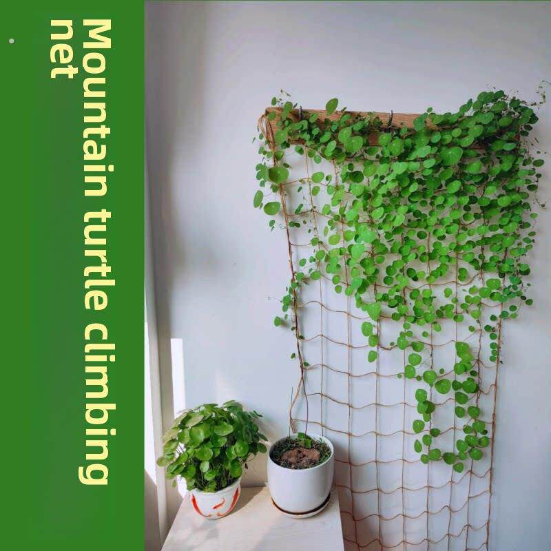 山龟攀爬植物彷麻绳软网攀爬牵引专用玫瑰绿色植物藤蔓支撑架