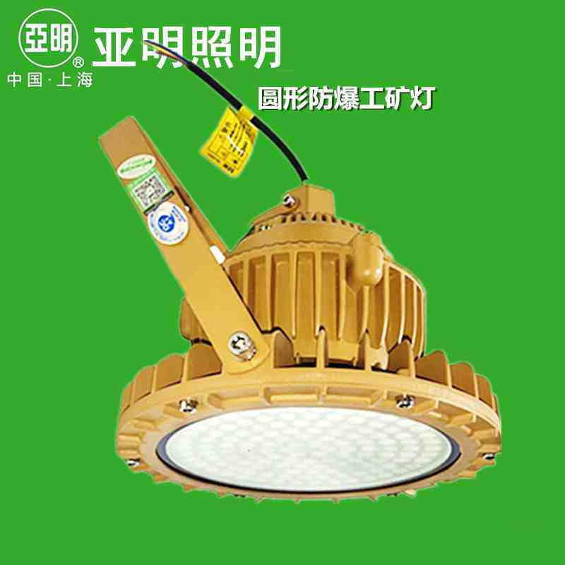 上海亚明 圆形led防爆照明灯 工程工业防爆灯50w200w 防爆工矿灯