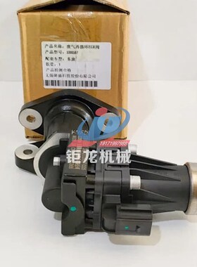 EGR阀5300587 24V废气再循环阀DSF0200-24