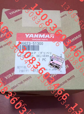 YANMAR EY18 出油D阀 146623-51300