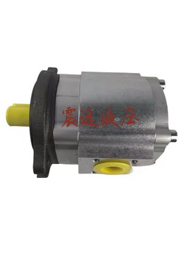 ESPS2-025RD34-11yS121花键齿轮泵 液压柱塞泵 油泵