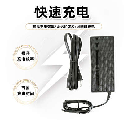 吕布云轮电池充电器自行车电动助力器110V-220V锂电池快充专用